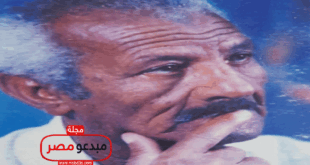 موسوعة ادباء مصر.. كابتن غزالي