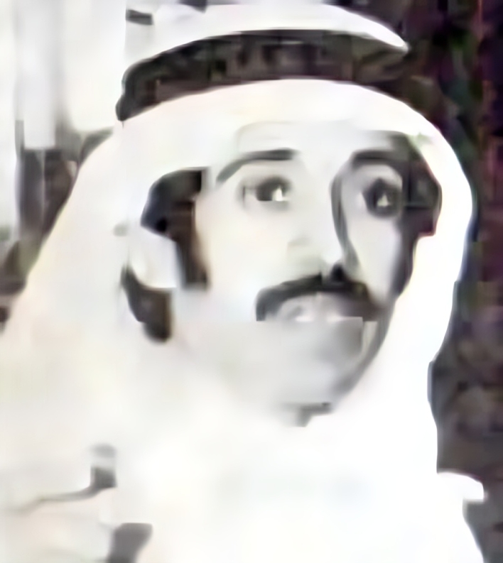 من هو انس درويش سلامة